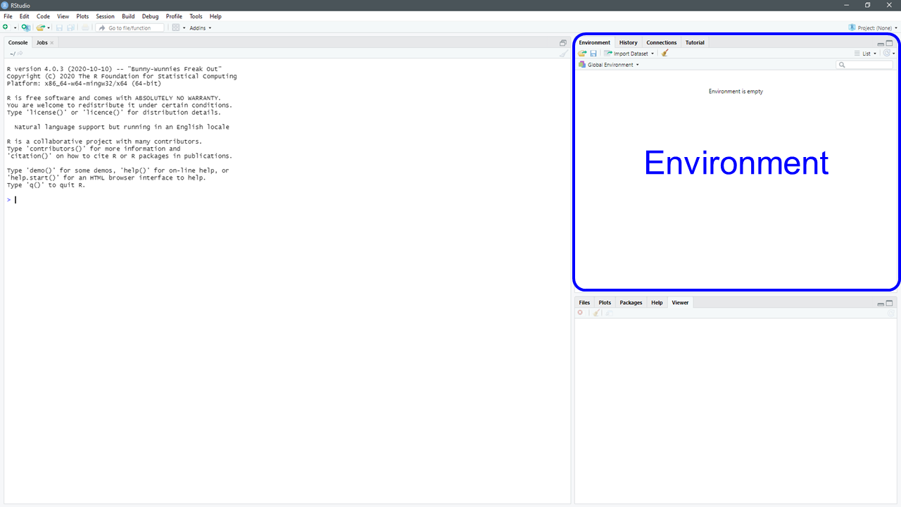The Environment panel in RStudio.